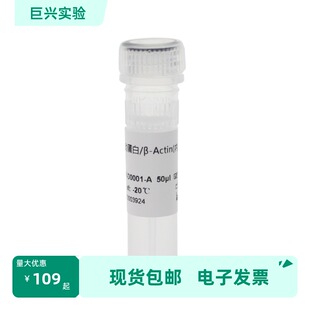 BOAR-D0001-A β-Actin Rabbit Polyclonal内参抗体Biosharp/白鲨