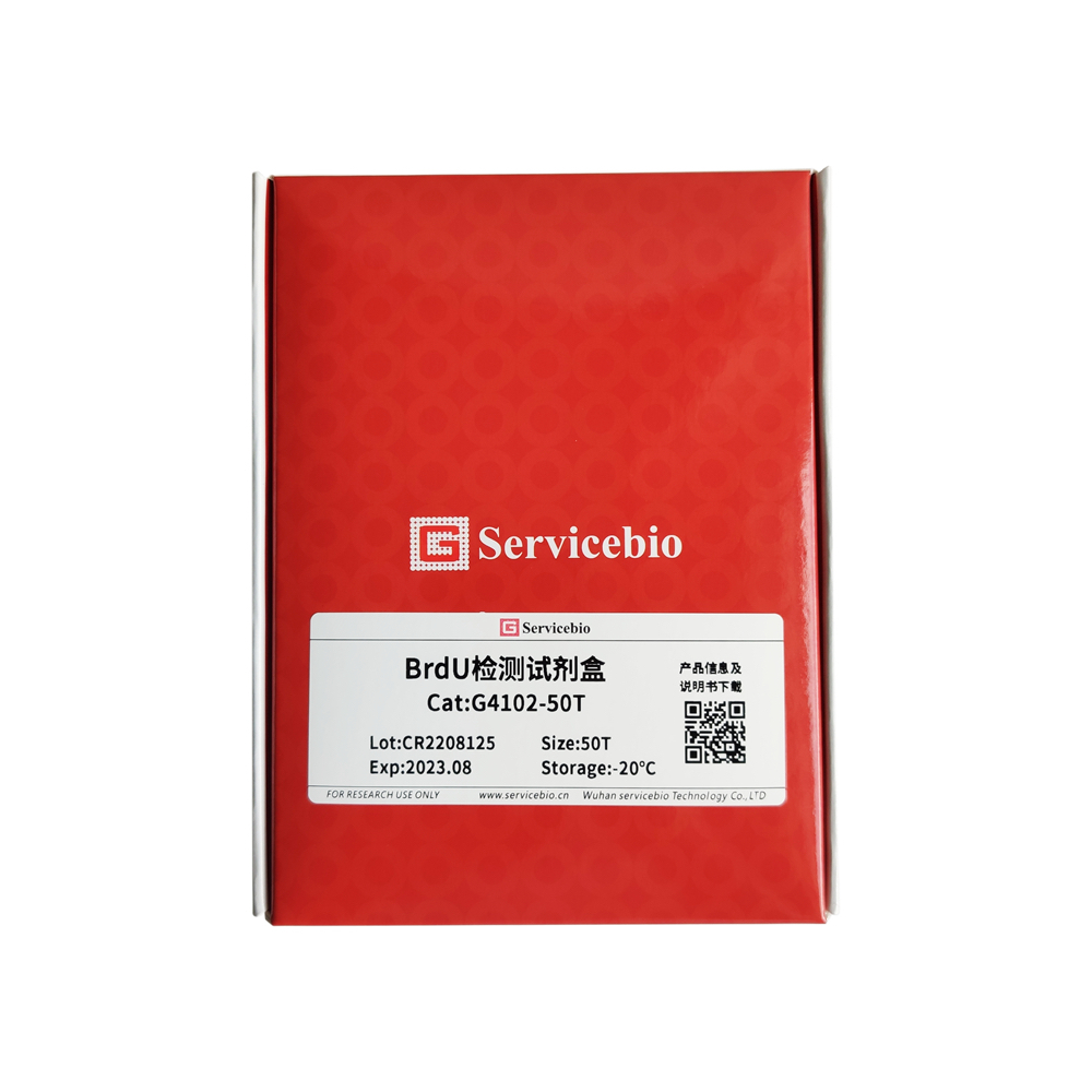 【限时】生物Servicebio BrdU检测试剂盒 G4102 50T
