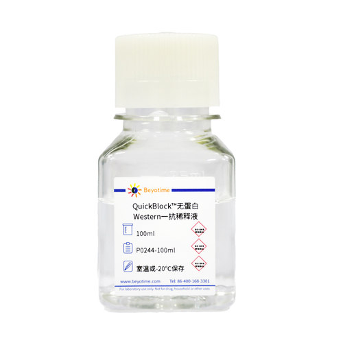 P0244 QuickBlock™无蛋白Western一抗稀释液
