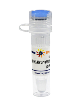 D7026S D7026M 超热稳定单链结合蛋白(ET SSB)