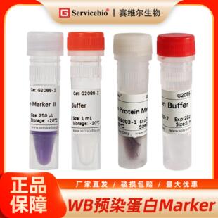 赛维尔 WB预染蛋白Marker 彩虹条带 PAGE电泳分子量标准 耐洗脱