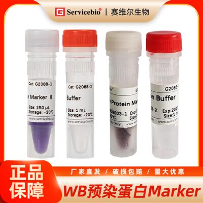 赛维尔 WB预染蛋白Marker 彩虹条带 PAGE电泳分子量标准 耐洗脱