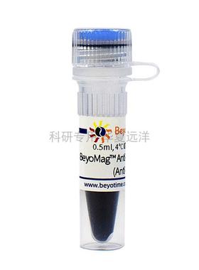 P2138 BeyoMag™ Anti-GST Magnetic Beads (Anti-GST磁珠)