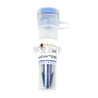 P0078-200μl BeyoColor™彩色预染蛋白分子量标准(15-120kD)