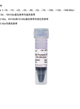 WB预染蛋白Marker 彩虹条带Marker PAGE电泳蛋白分子量标准250ul