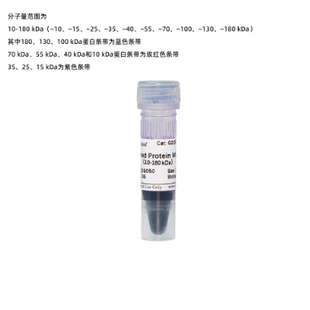 WB预染蛋白Marker 彩虹条带Marker PAGE电泳蛋白分子量标准250ul
