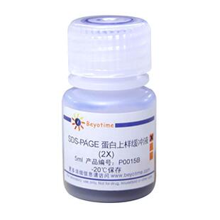 P0015B-5ml SDS-PAGE蛋白上样缓冲液(2X) 碧云天