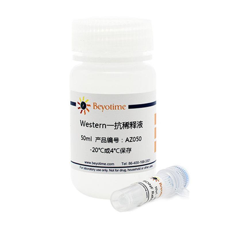 AF8127-50μl TFAM Rabbit Polyclonal Antibody - 实物图