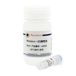 AF8127-50μl TFAM Rabbit Polyclonal Antibody
