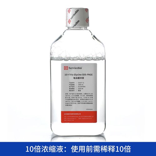SDS-PAGE Tris-甘氨酸电泳缓冲液干粉即用型G2018 G2144