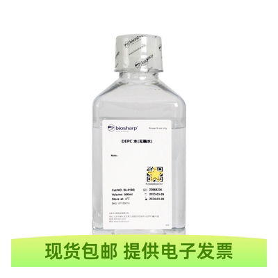 BL510B DEPC水500ml无酶无菌PCR试剂 Biosharp/白鲨