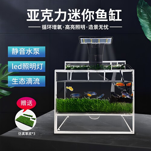 亚克力迷你小鱼缸全套设备送草坪
