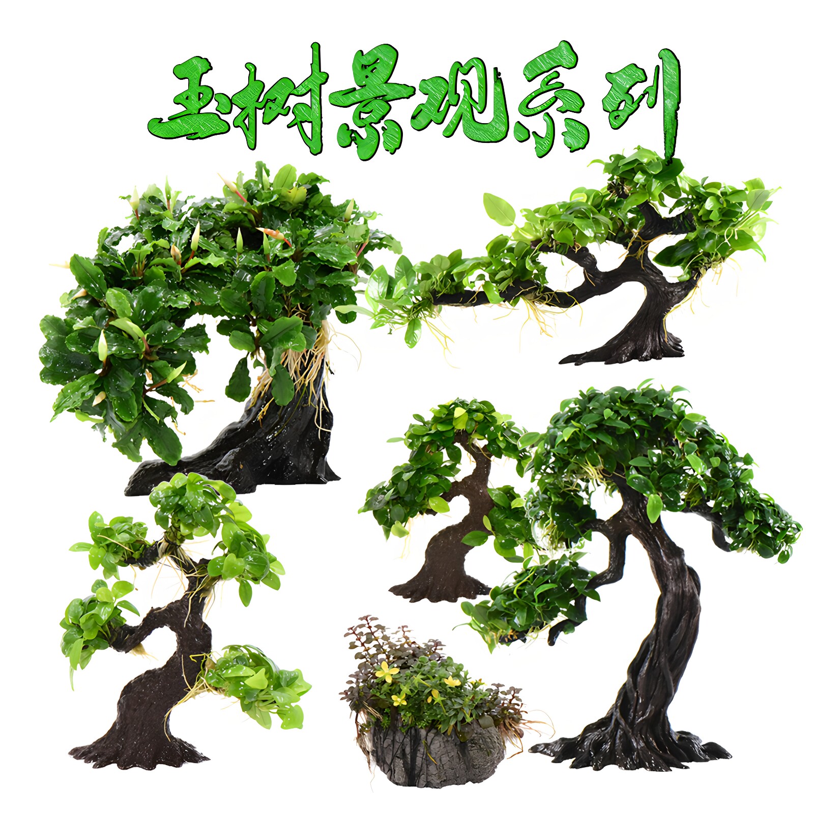 玉树造景莫斯树仿真沉木活体真水草淡鱼缸套餐阴性水榕水无土植物