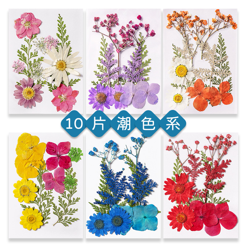 干花diy材料包滴胶手工贴脸压花