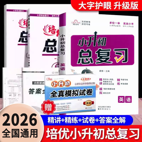 小升初英语总复习专题专练