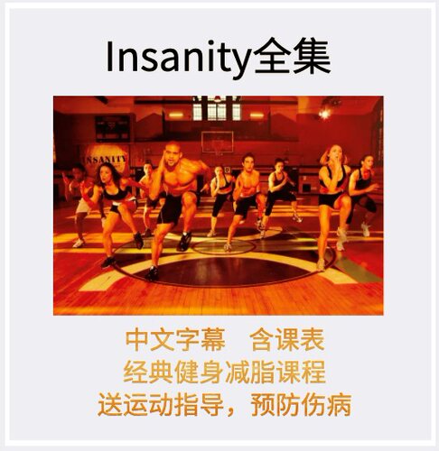 insanity63天健身全集中文字幕熊T经典减脂塑形视频教程shaunT