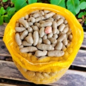 5斤新鲜山药豆糖炒长豆大中豆中号小白嘴糯面精品紫药山药豆新豆