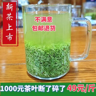 2025新茶明前茶茶碎茶叶末信阳毛尖茶碎板栗香浓耐泡绿茶500g