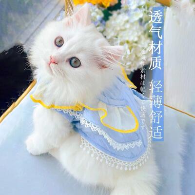 咪衣服薄622宠款夏季布偶猫裙子猫可爱幼猫小公主裙夏天物猫猫猫