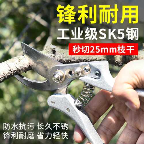 免费打标园林修枝剪sk5家用剪枝