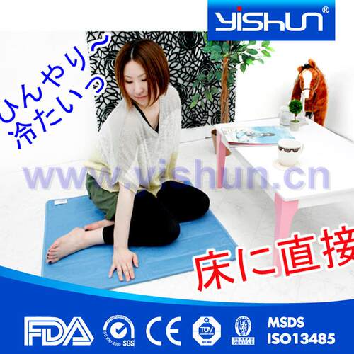期供应 多用途上床冰垫坐 452垫卡通冰垫 90*06cm冰垫厂长家183a