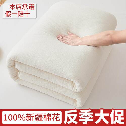 100%暖新疆棉花被鱼鳞网纱被芯加厚保冬被棉被宿舍5649春秋被纯双