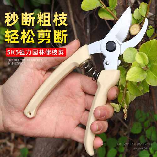 枝剪SK5果树修枝剪省力剪树枝