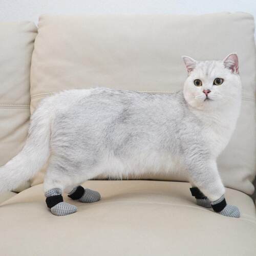 一款适112合小猫狗耐洗澡喂打针猫脚套磨防抓伤猫型鞋套宠咪物