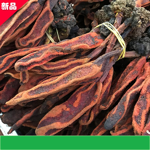 回春草不老草顶天柱多年生草本植物云南特产产地发货一斤包邮