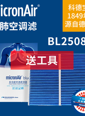 科德宝BL2508-2适配特斯拉model3/modelY内置EV毛豆蓝肺空调滤芯