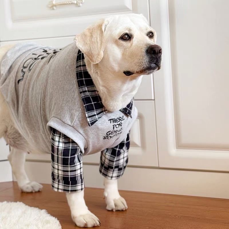学院风拉布拉多衣服潮牌中大型犬金毛杜宾秋冬保暖防掉毛狗狗衣服,宠物/宠物食品及用品,狗宠物服装/雨衣,淘宝优惠券,粉丝福利购,淘宝优惠卷