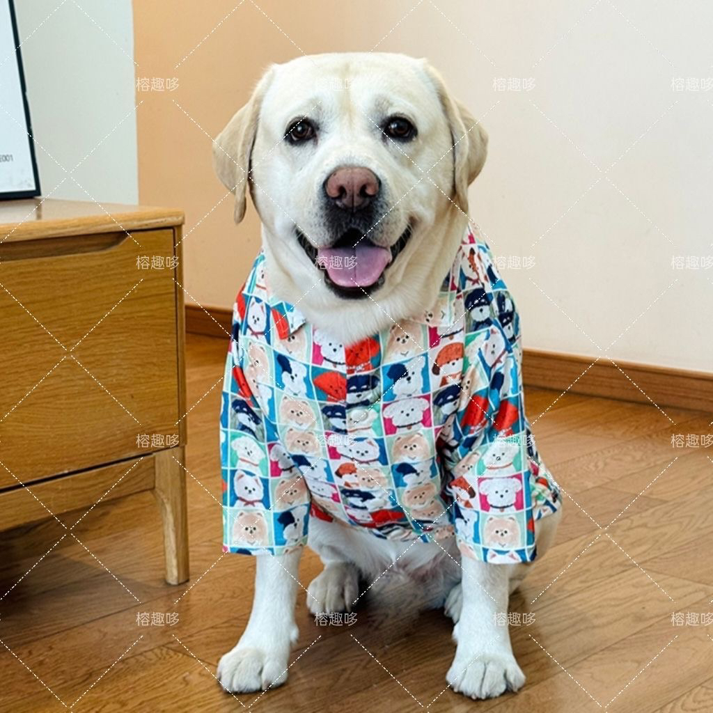 宠物衬衫大狗衣服薄款防晒防掉毛帅气狗狗衬衫拉布拉多边牧金毛萌