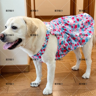 大狗衣服春秋薄款连衣裙金毛拉布拉多萨摩耶边牧中大型犬夏装裙子