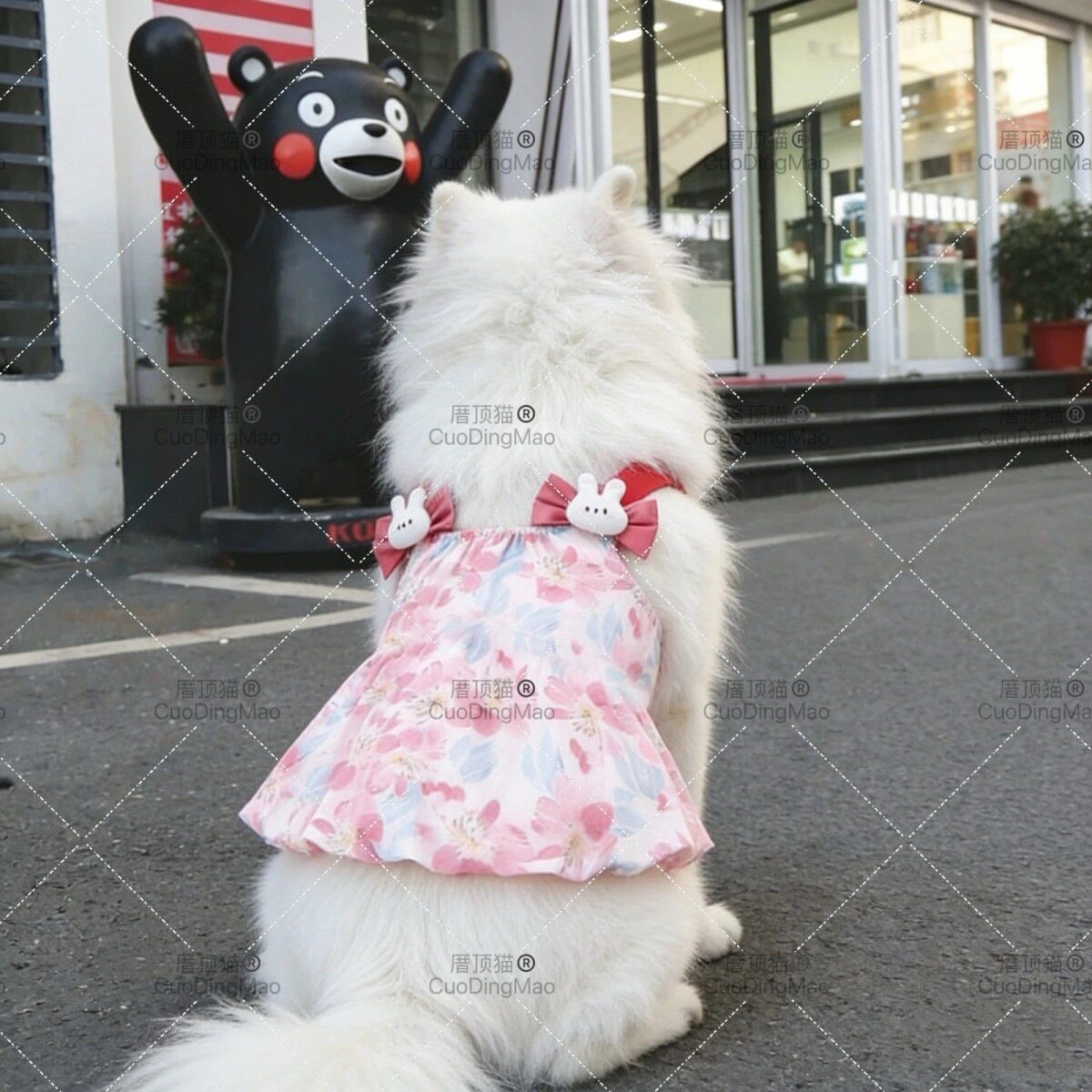 宠物大狗狗衣服狗裙子夏季萨摩耶金毛边牧拉布拉多中大型犬公主裙