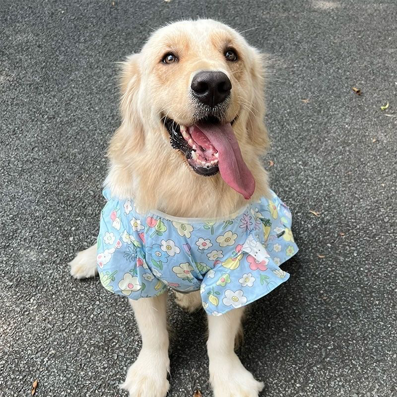 宠物狗狗衣服金毛拉布拉多萨摩耶边牧中型大型犬大狗夏季薄款背心