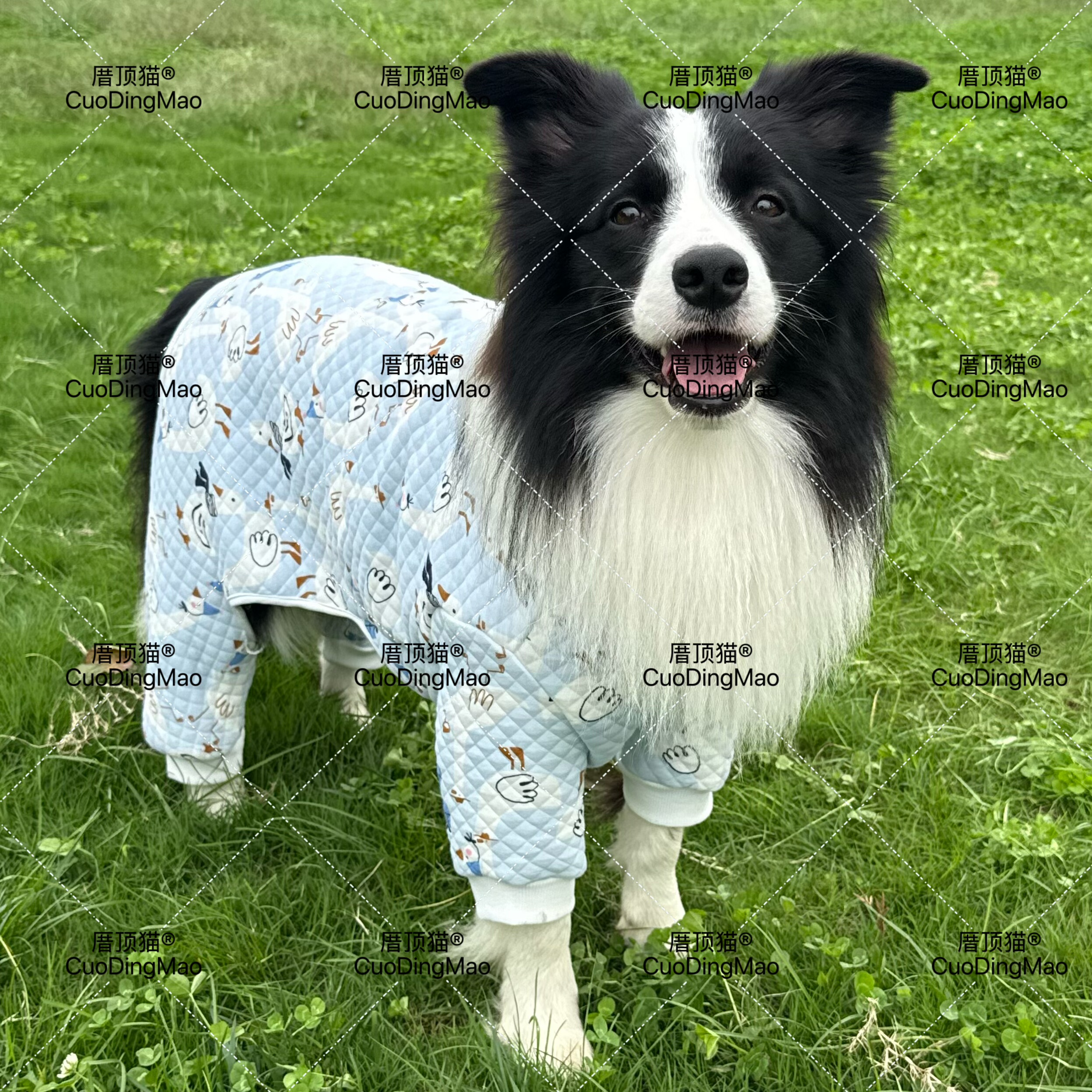 大狗四脚服衣服秋冬款金毛拉布拉多边牧萨摩耶中大型犬保暖衣服潮