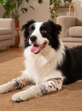 关节保护套宠物犬用护肘护膝套装每只使用于各种类型犬防受伤养伤