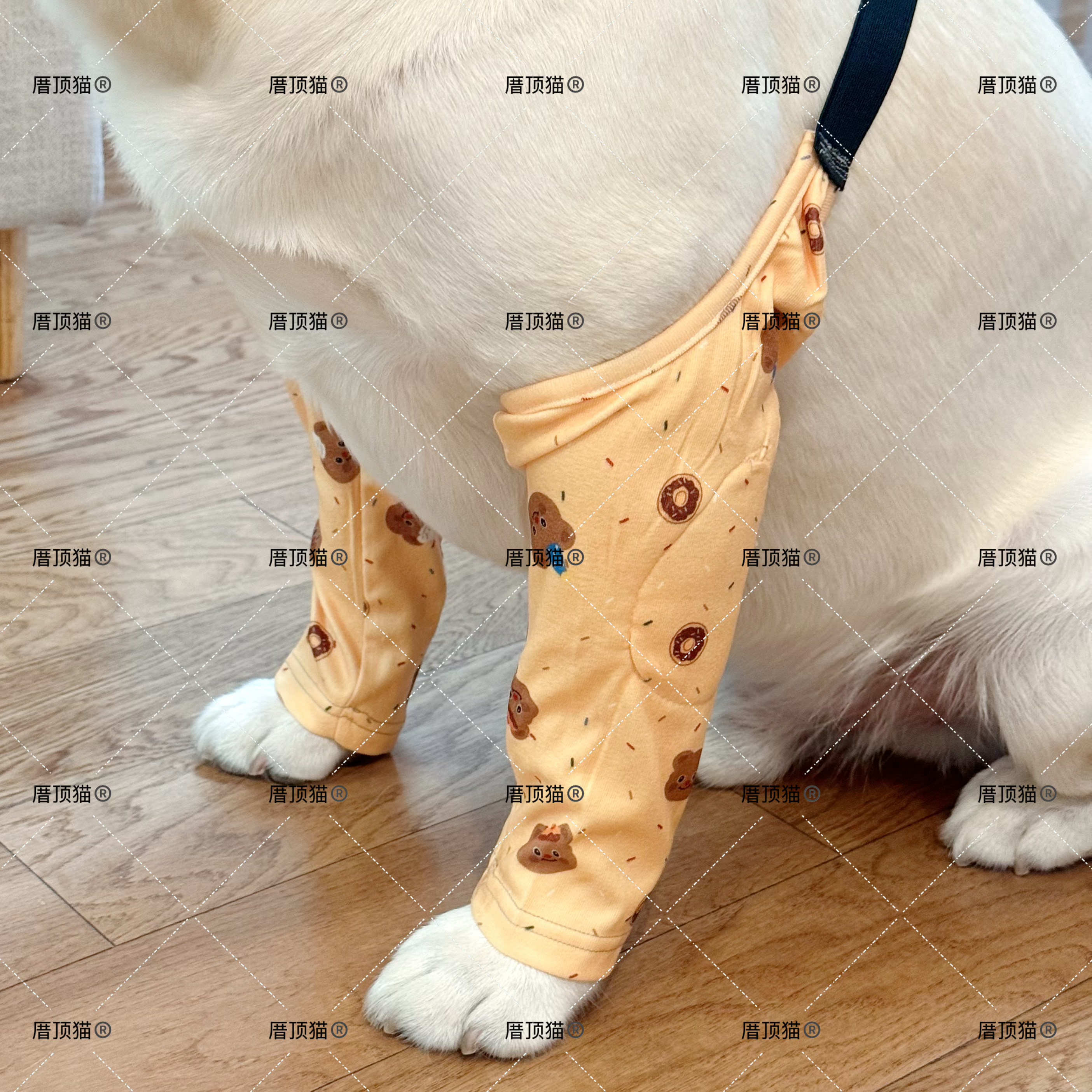 狗狗护肘衣服保护套金毛拉布拉多宠物防脏神器护膝外出四季通用潮
