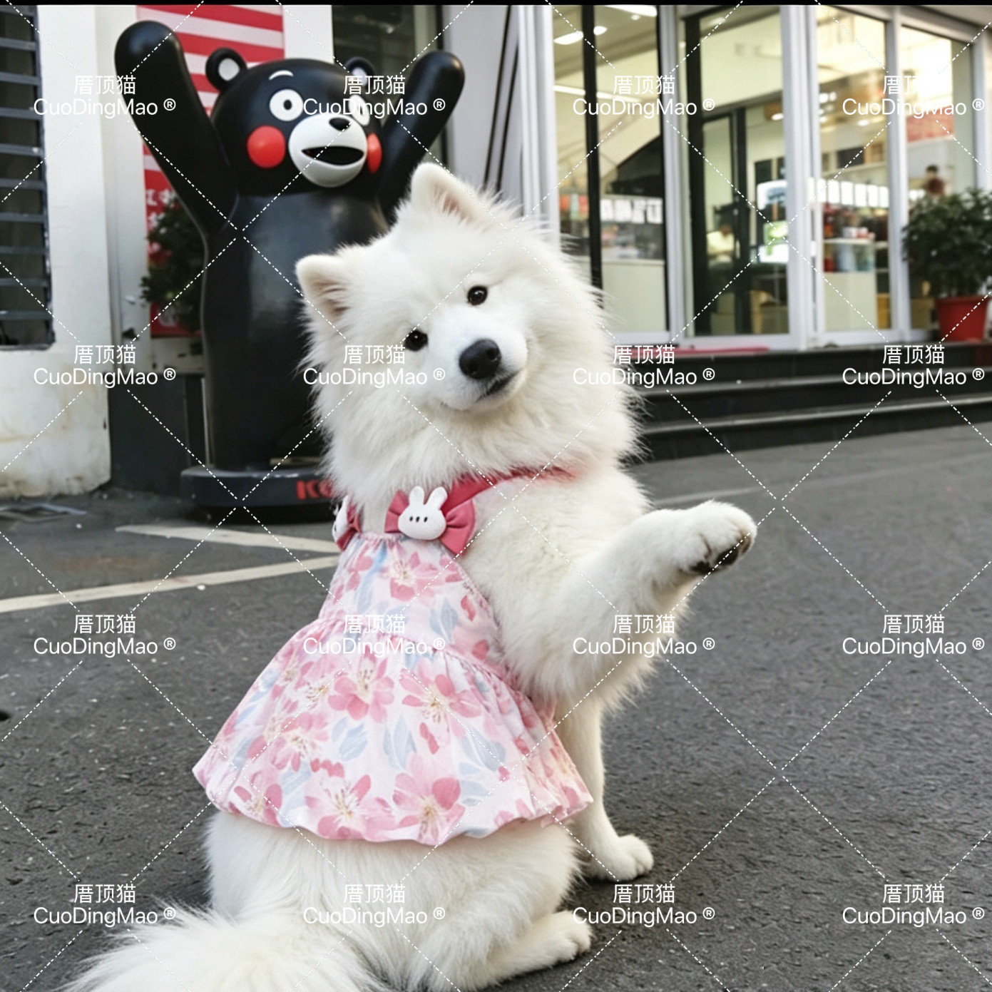 夏季宠物狗狗衣服狗吊带裙子拉布拉多萨摩耶金毛中大型犬公主裙子