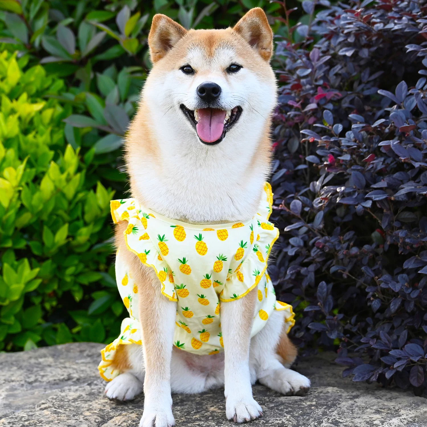 宠物裙子衣服中型犬狗狗夏季薄款透气背心柯基柴犬小狗可爱公主裙图片