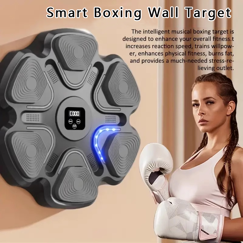 SmartBoxingWallTarget