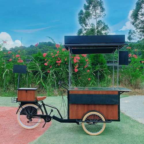 户外防水铁艺促销展示车摆摊商场