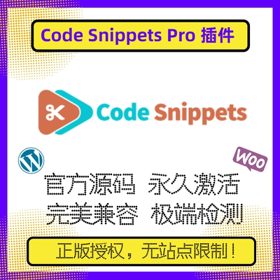 Code Snippets Pro插件 WP代码段插件 多站点 站群插件 官方原版