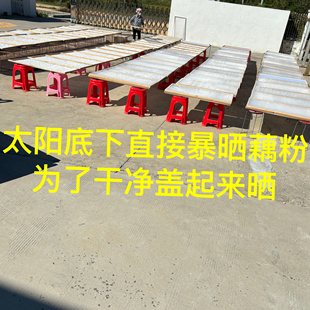 风大瑕疵晒干藕粉二斤。限购一份