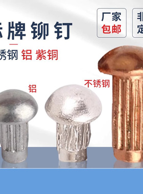 原GB827标牌铆钉铝铆钉滚花铭牌实心半圆头大头铆钉电机标牌铆钉