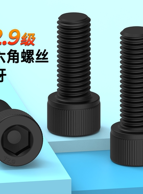 全牙内六角螺丝发黑12.9级圆柱头高强度螺栓杯头M3M4M5-M24M30M48