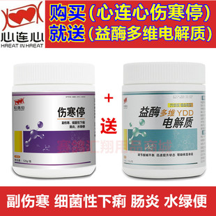 心连心鸽药【伤寒停】120克/鸽子药/沙门氏大肠杆菌送多酶电解质