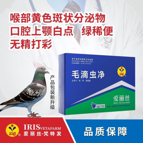 爱丽丝毛滴虫净粉50克信赛鸽子滴虫清