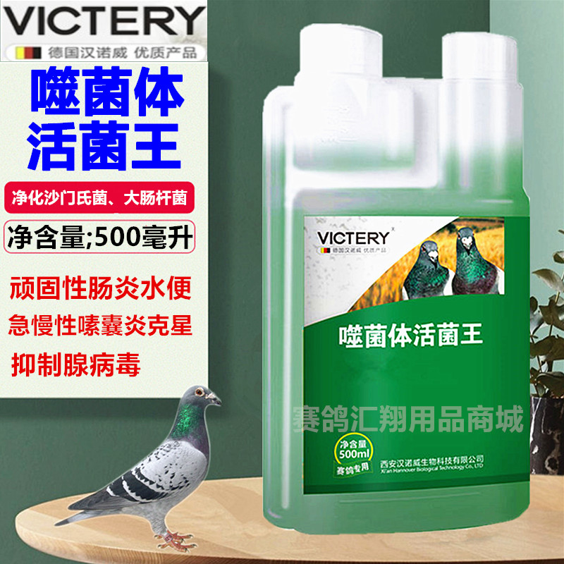 汉诺威鸽药噬菌体活菌王赛鸽信鸽肠道活菌王水绿便拉稀鸽子药大全