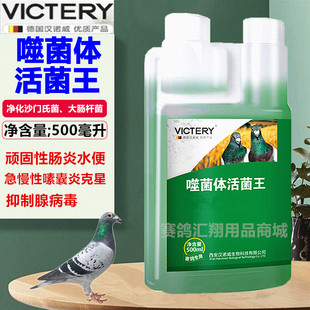 汉诺威鸽药噬菌体活菌王赛鸽信鸽肠道活菌王水绿便拉稀鸽子药大全